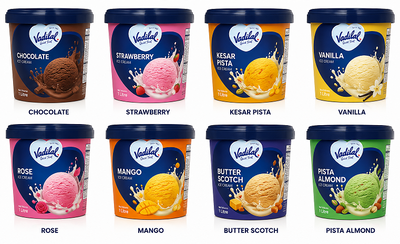 Vadilal Premium Ice Cream 1 Litre – Multiple Flavors Available | JFK Grocery